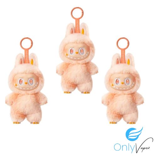 Labubu Silent Edition Medium Mystery Squishy