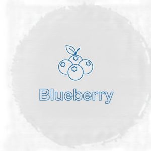Blueberry